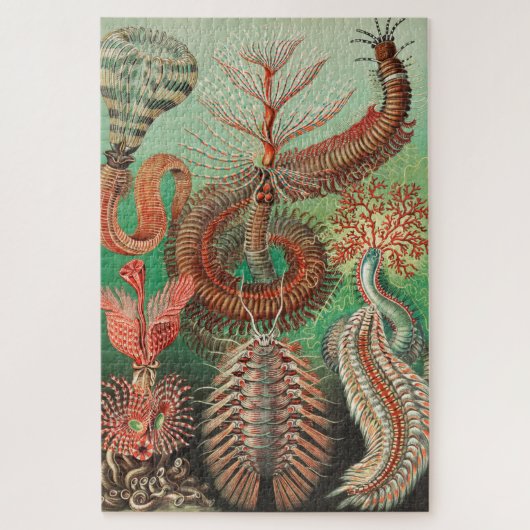 Worms, Annelids Chaetopoda von Ernst Haeckel Puzzle (Vertikal)