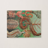 Worms, Annelids Chaetopoda von Ernst Haeckel Puzzle (Horizontal)