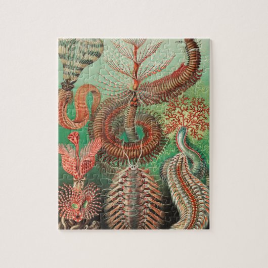 Worms, Annelids Chaetopoda von Ernst Haeckel Puzzle (Vertikal)