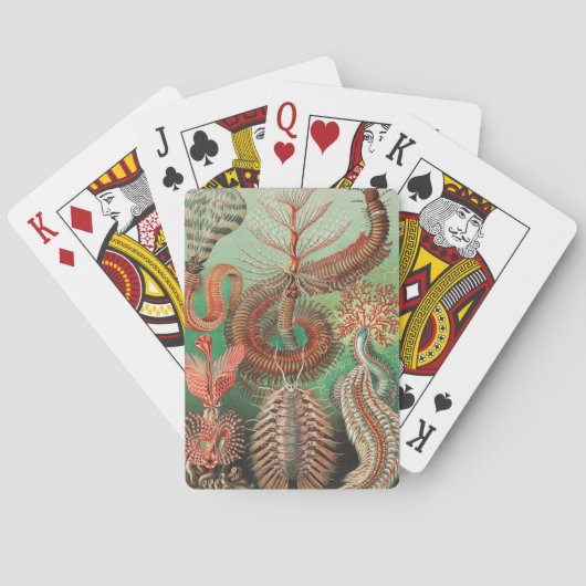 Worms, Annelids Chaetopoda von Ernst Haeckel Spielkarten (Rückseite)