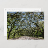 Wormsloe historische Stätte, Savanne Georgia Postkarte (Vorne/Hinten)