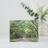 Wormsloe Plantation Savannah Postcard Postkarte (Stehend Vorderseite)
