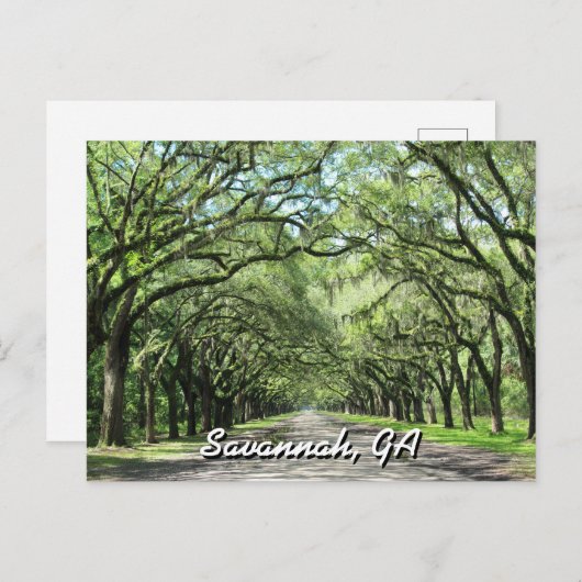 Wormsloe Plantation Savannah Postcard Postkarte (Vorne/Hinten)
