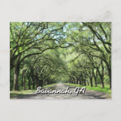 Wormsloe Plantation Savannah Postcard Postkarte (Vorderseite)