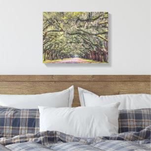 Wormsloe Savannah Leinwand Wall Art 11x14