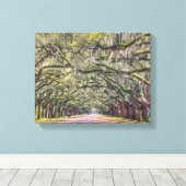 Wormsloe Savannah Leinwand Wall Art 11x14 (Insitu (Holzboden))