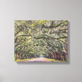 Wormsloe Savannah Leinwand Wall Art 11x14 (Vorderseite)