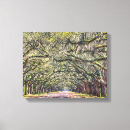 Wormsloe Savannah Leinwand Wall Art 11x14