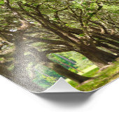 Wormslow Plantation, Savannah, GA Fotodruck (Ecke)