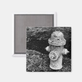 Worn Chipped Rusty Old Fire Hydrant Photograph Magnet (Vorderseite/Rückseite)