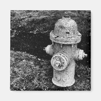 Worn Chipped Rusty Old Fire Hydrant Photograph Magnet