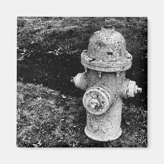 Worn Chipped Rusty Old Fire Hydrant Photograph Magnet (Vorne)