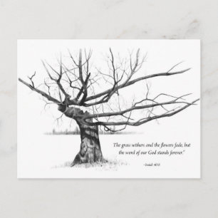 Wort Gottes für immer: Gnarled Tree in Pencil Postkarte