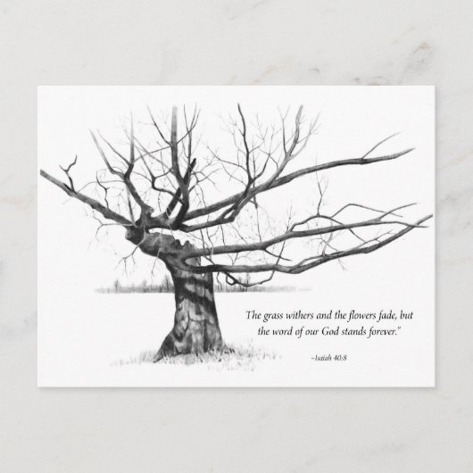 Wort Gottes für immer: Gnarled Tree in Pencil Postkarte (Vorderseite)