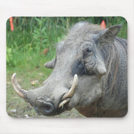 wort-hog10x10 mousepad (Vorne)