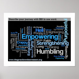 Wort-Wolke "beschreiben Sie Ihres IBDs" Poster