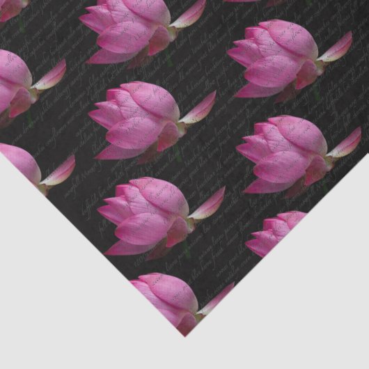 Worte auf rosa Lilien Seidenpapier (Detail)