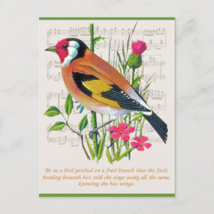 Worte der Ermutigung Postkarte