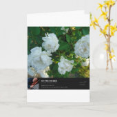 Worte der Liebe Karte (Gelbe Blume)