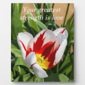 Wörter der Weisheit Tabletop Plaque mit Easel Fotoplatte (Vorderseite)