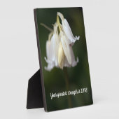 Wörter der Weisheit Tabletop Plaque mit Easel Fotoplatte (Seite)