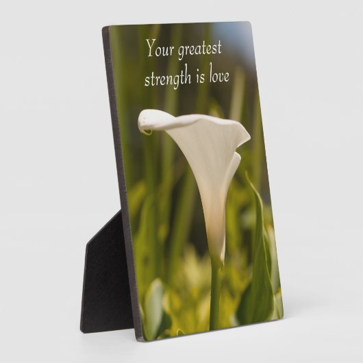 Wörter der Weisheit Tabletop Plaque mit Easel Fotoplatte (Seite)