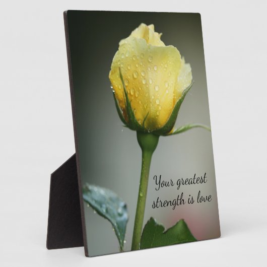 Wörter der Weisheit Tabletop Plaque mit Easel Fotoplatte (Seite)