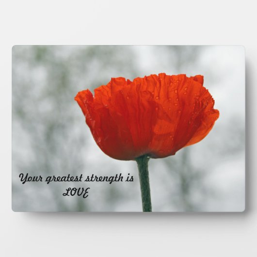 Wörter der Weisheit Tabletop Plaque mit Easel Fotoplatte (Vorderseite)