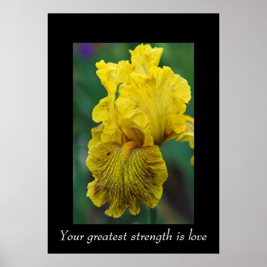 Wörter des Weisheits-Posters Poster (Vorne)