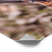 Wörter, die von einem Klassenzimmer-Poster zu lebe Poster (Ecke)