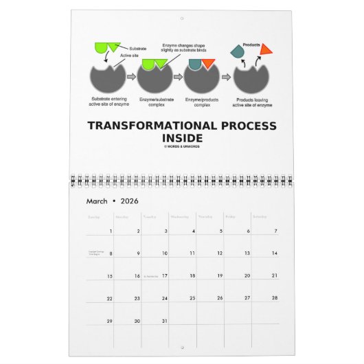 Wörter u. Unwords humorvolle Kalender (Mär 2026)