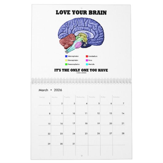 Wörter & Unwörter Spaß Redewendungen 2025 Kalender (Mär 2026)