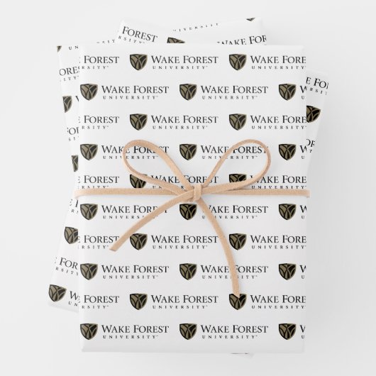 Wörterbuch der Forstuniversität geweckt Geschenkpapier Set (Beispiel)