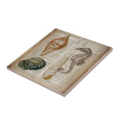 Wörterbuchausdruck Französisch botanische Strandse Fliese (Seite)