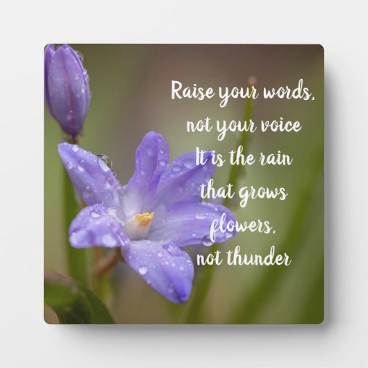 Wortwahl Fotoplatte (Vorderseite)