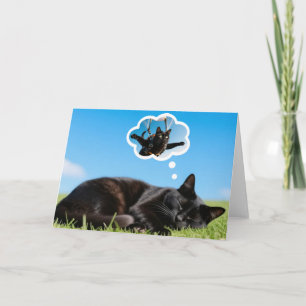 Wovon Katzen träumen! Karte