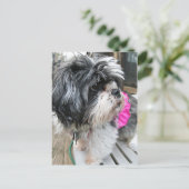 WOVON! POSTKARTE (Stehend Vorderseite)