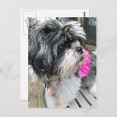 WOVON! POSTKARTE (Vorne/Hinten)