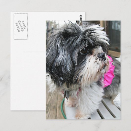 WOVON! POSTKARTE (Vorne/Hinten)