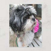 WOVON! POSTKARTE (Vorderseite)