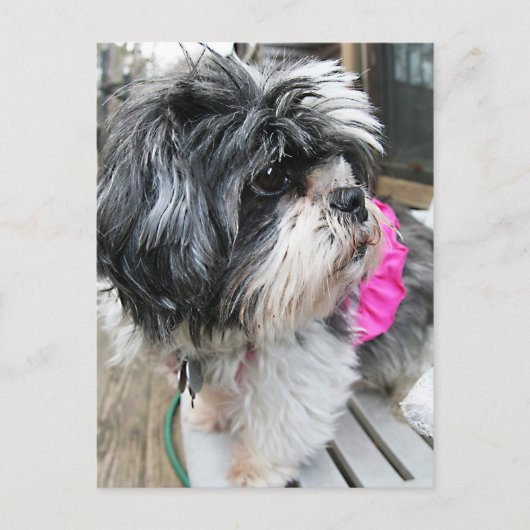 WOVON! POSTKARTE (Vorderseite)