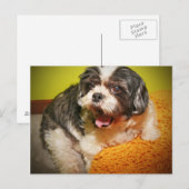 WOVON! POSTKARTE (Vorne/Hinten)