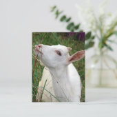 Wow! Dieses Gras ist größer als ich Postkarte (Stehend Vorderseite)