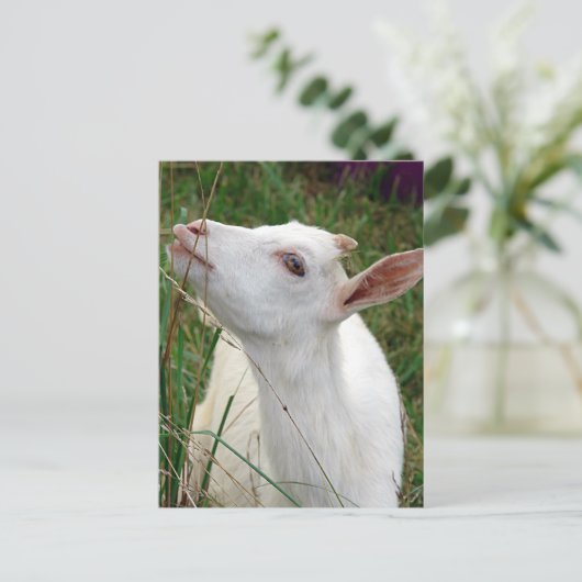 Wow! Dieses Gras ist größer als ich Postkarte (Stehend Vorderseite)