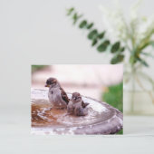 Wow, dieses Kind ist wild! Postkarte (Stehend Vorderseite)