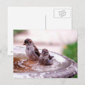 Wow, dieses Kind ist wild! Postkarte (Vorne/Hinten)