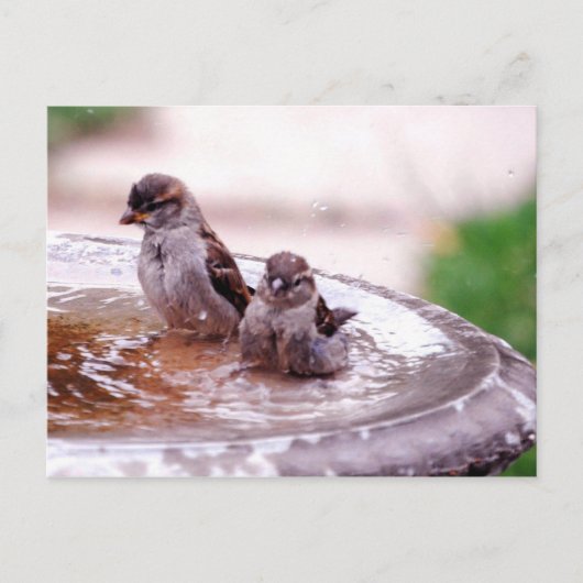 Wow, dieses Kind ist wild! Postkarte (Vorderseite)