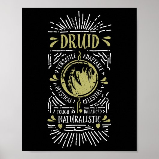 Wow Druide Rollenspiel-Gamer 1 Poster (Vorne)