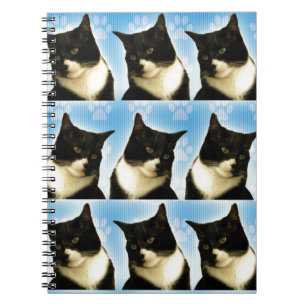 Wow fun Tuxedo Cat Liebe Niedliches Foto Muster Notizblock