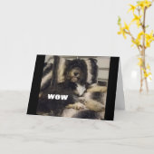 WOW GLAUBT NUR NICHT, DASS SIE "40"-KARTE SIND KARTE (Gelbe Blume)